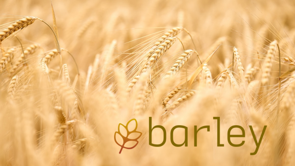 An introduction to Barley, the fast model serializer