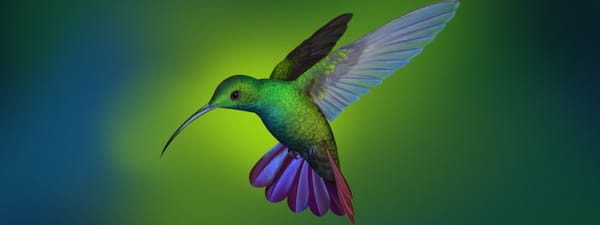 Deepin, ça a de la Gueule (mais pas que) !