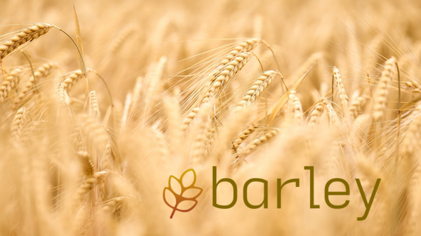 An introduction to Barley, the fast model serializer